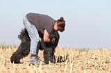 ADULTE ET CHIEN 088